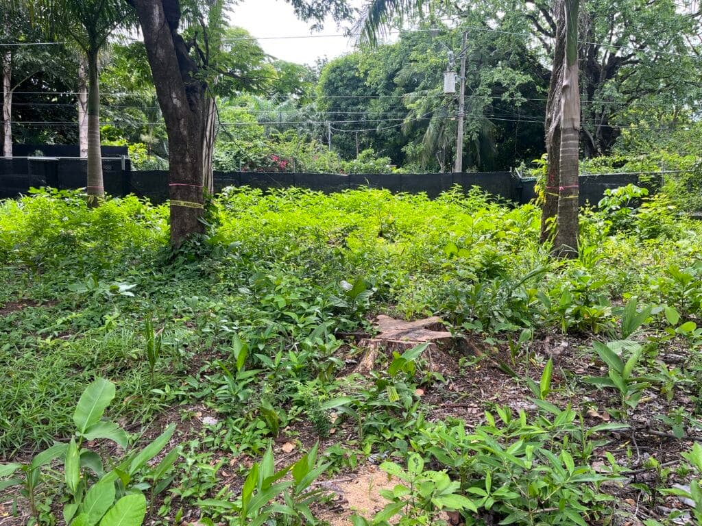 Three Build-Ready Lots Just Steps from Playa Guiones